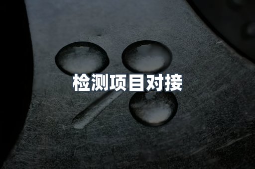 检测项目对接