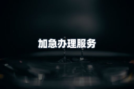 加急办理服务